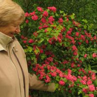 Aldona Baranauskienė