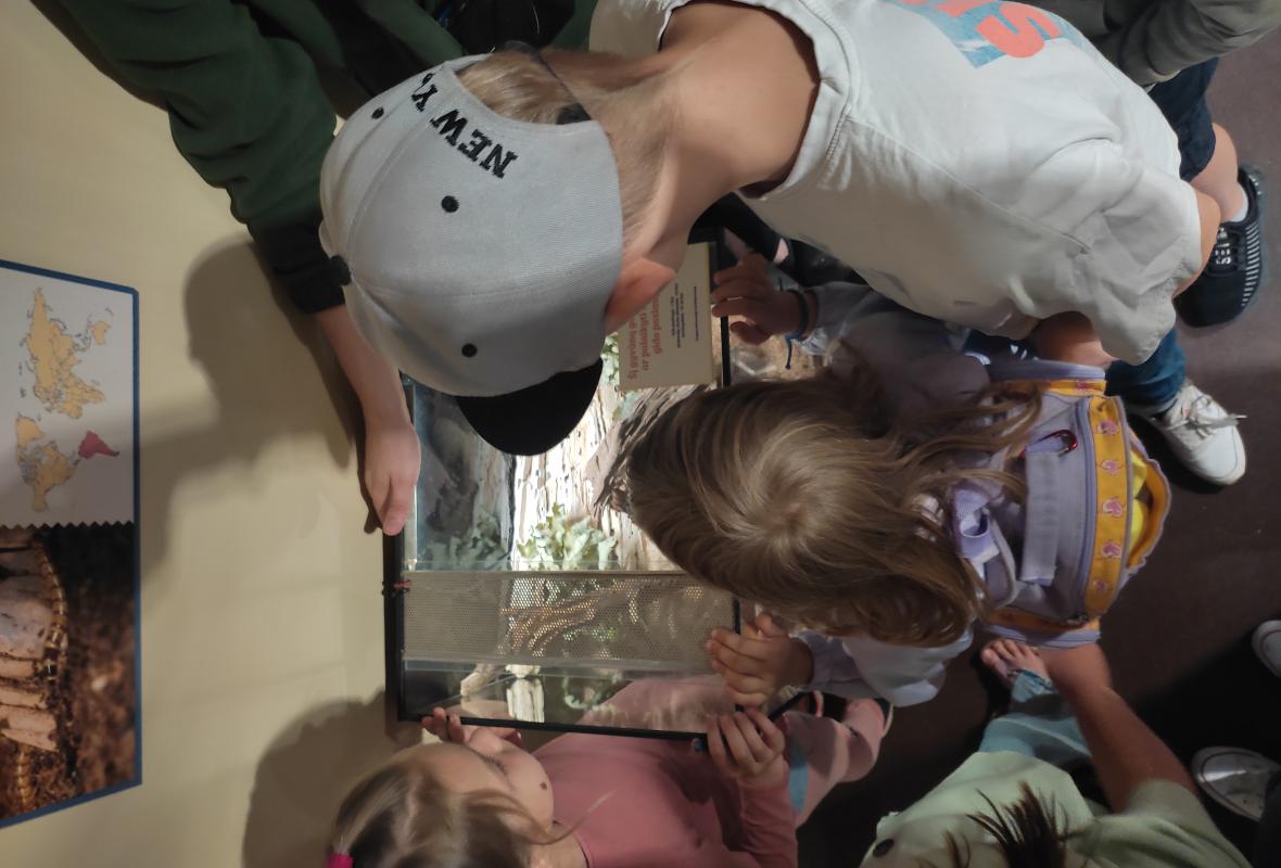 IMG 20220708 113955