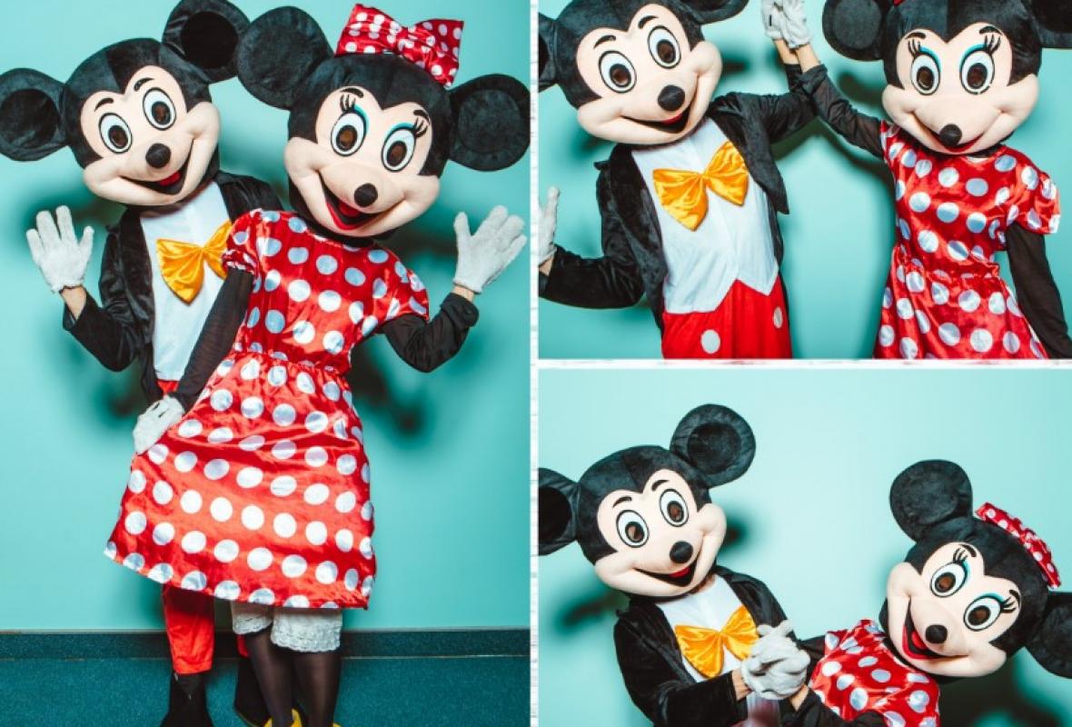 Mickey ir Minnie mice